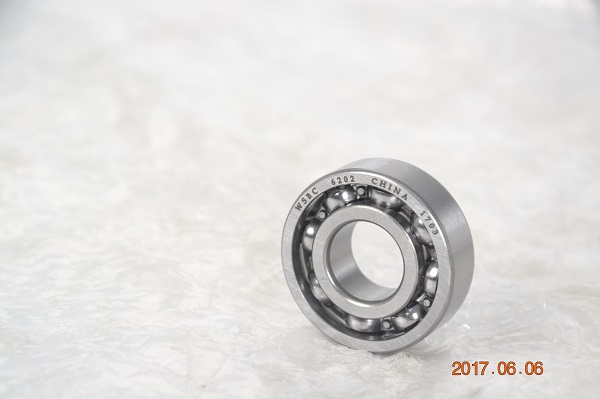 ZZ-6202.jpg